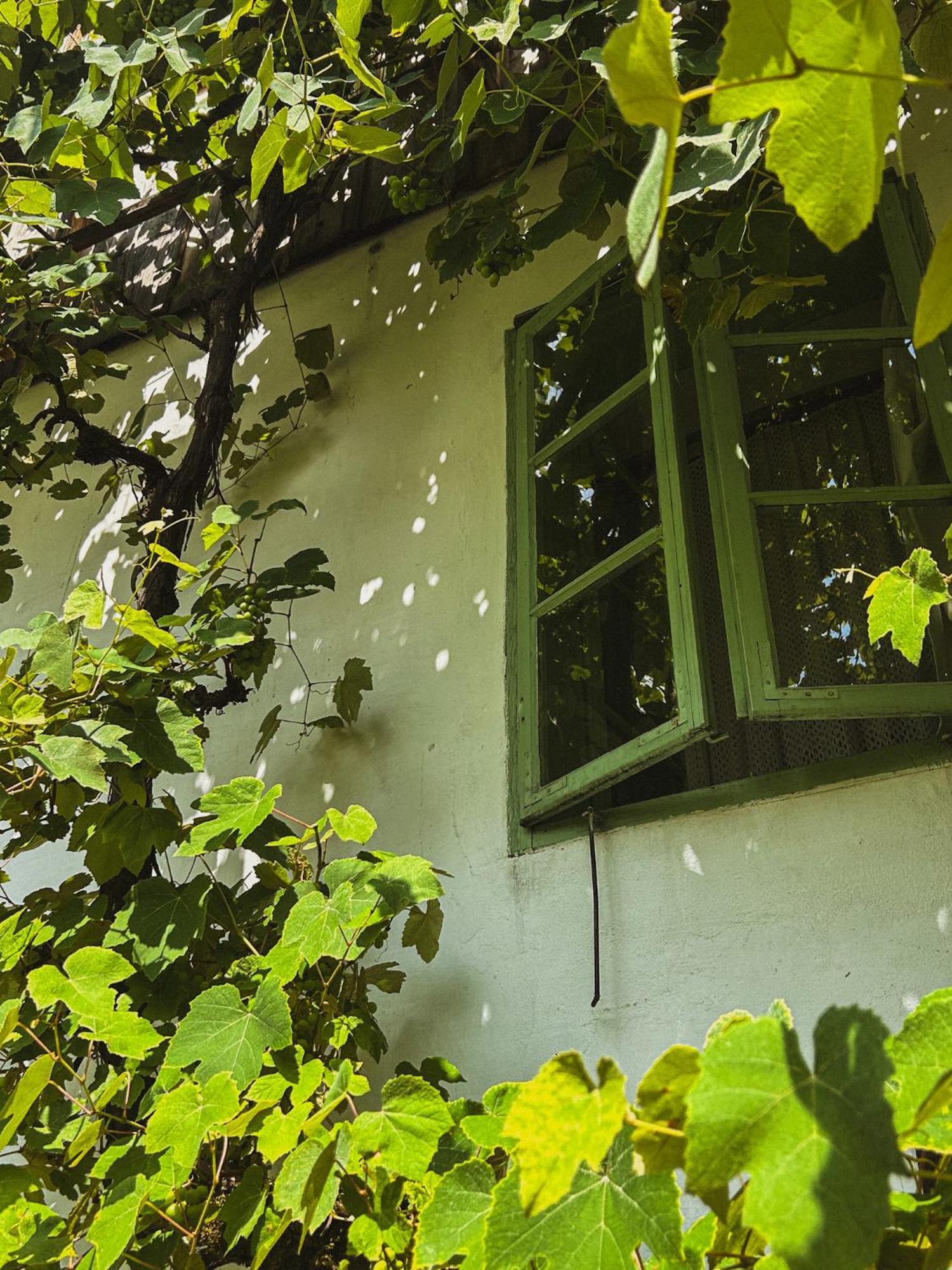 Vintage House Podliparska Guest House Fara Екстериор снимка