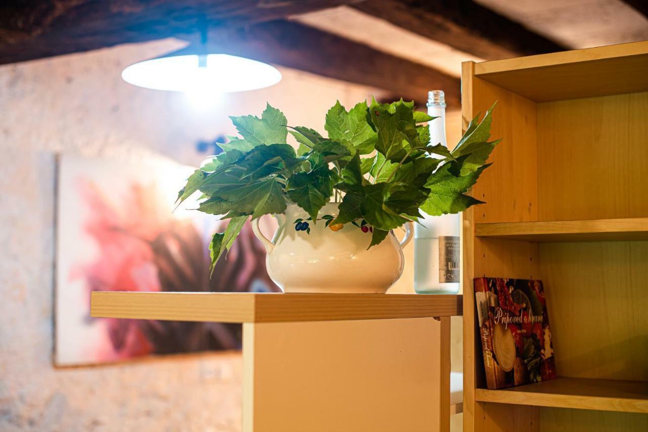 Vintage House Podliparska Guest House Fara Екстериор снимка